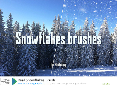 براش برف واقعی برای فتوشاپ|رضاگرافیک